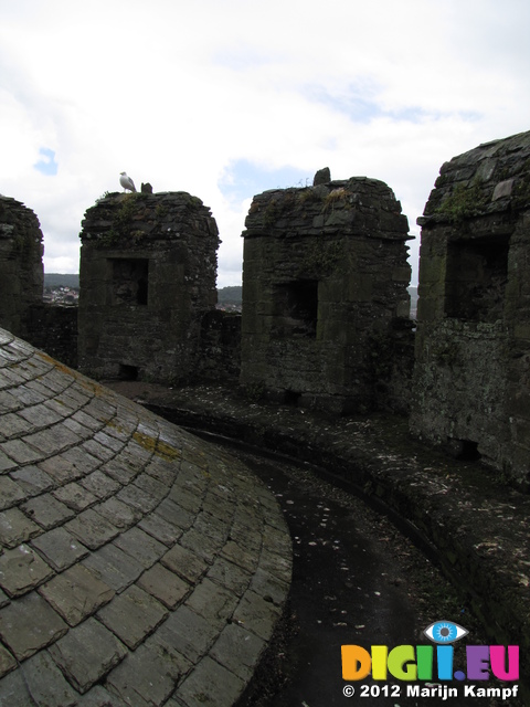 SX23339 Conwy Castle tower roof